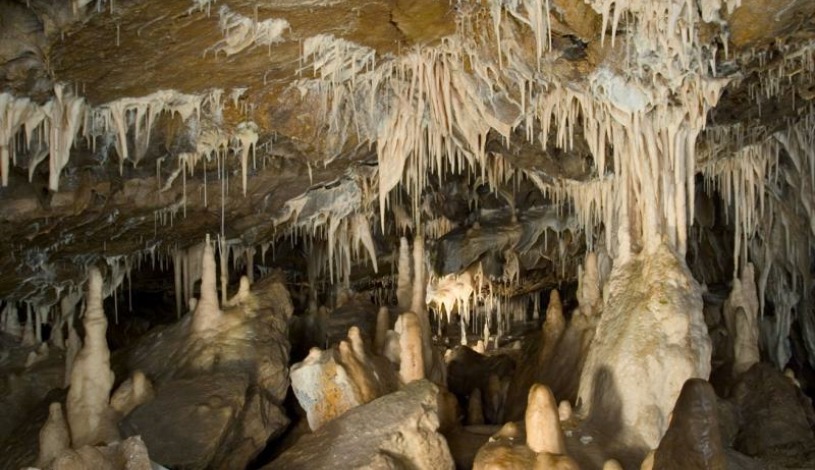 Hotel CROCUS **** Vysoké Tatry